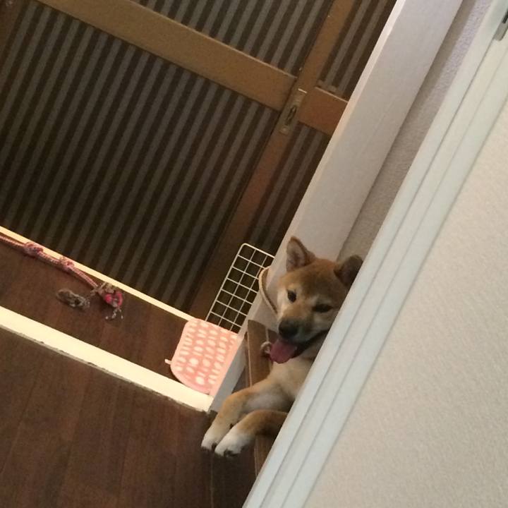 B7ddf573 ee3b 423e a4f8 c80817c86f4e