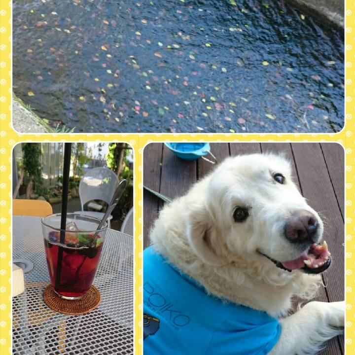 B7de25e1 a4fe 4b73 b1be 1326cc9588d8