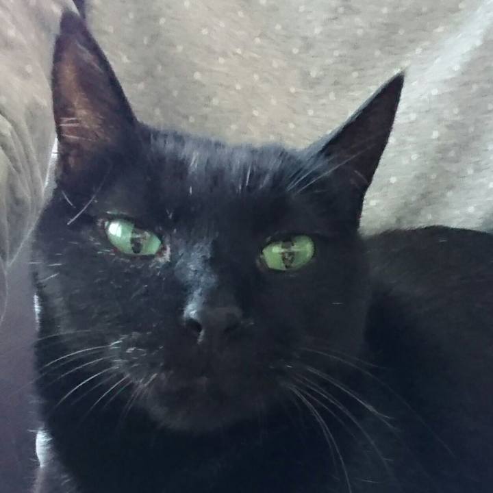 B7de3fae fa52 4cd7 a228 15fc215ed9e1