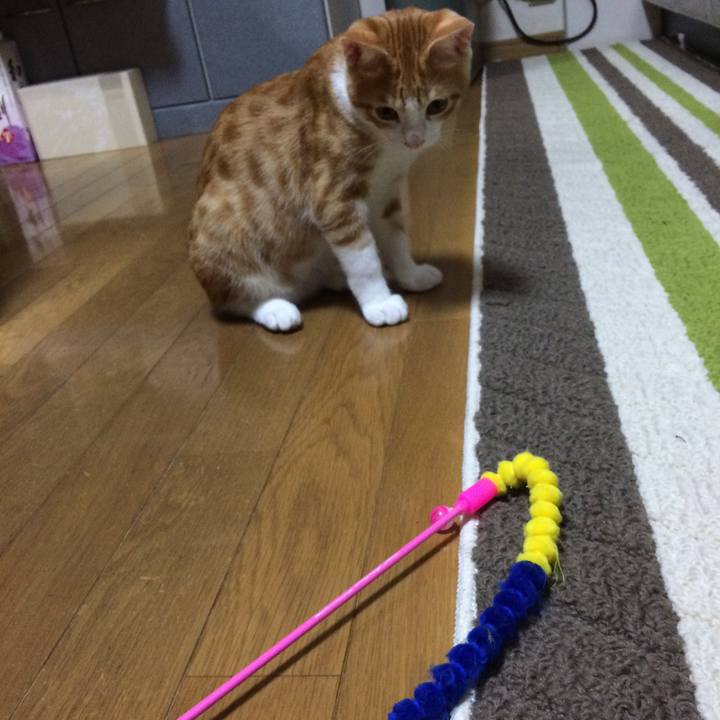 B7de7255 18e2 4257 a230 7193032db67d