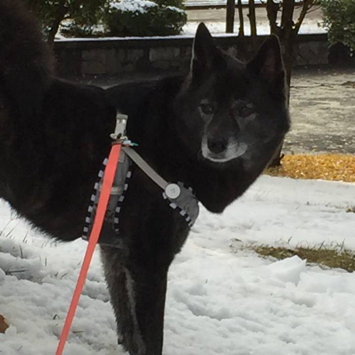 B7dea5ee 7127 44c7 8ceb 4f42b3c21068