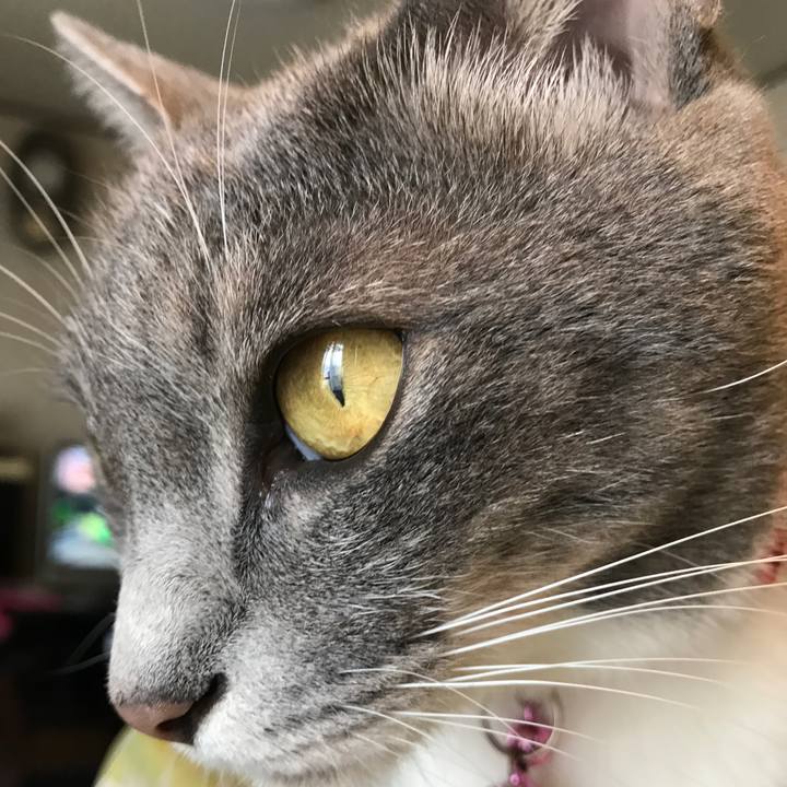 B7dee261 e02c 4b3e b383 a4ad0f53b973