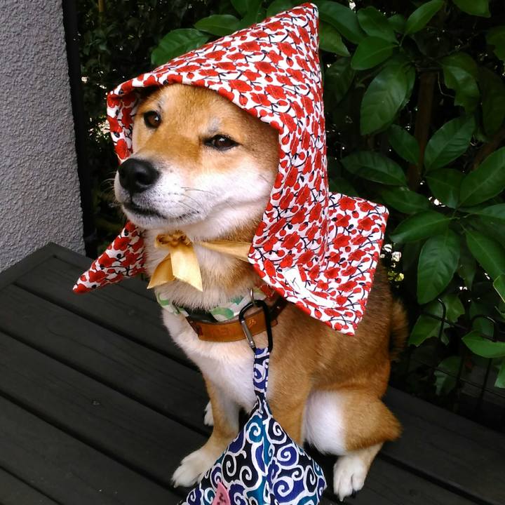 B7df601f 7db1 4ee8 b9dc afd12ff57a5d