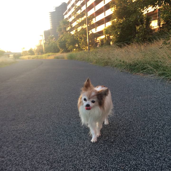 B7df7607 0bc1 4043 9520 e2a3a6df74fe