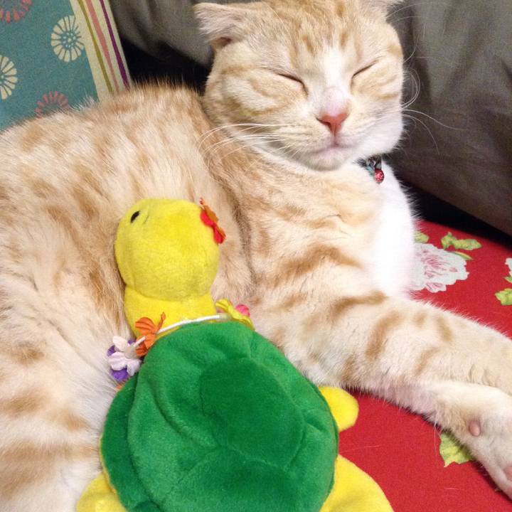 B7dfb59f b205 4af0 be25 241cde6e215b