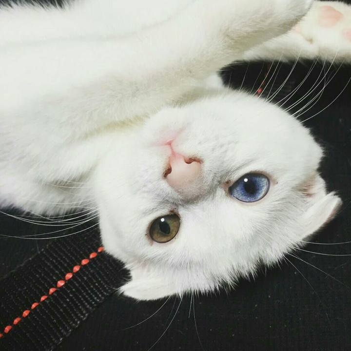 B7e03b8e 3121 4a0d b94d 1d0a0bf5598d