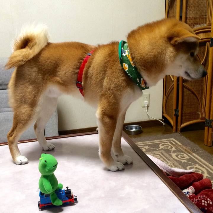 B7e076d1 b766 450e 8108 453e601cb3f8