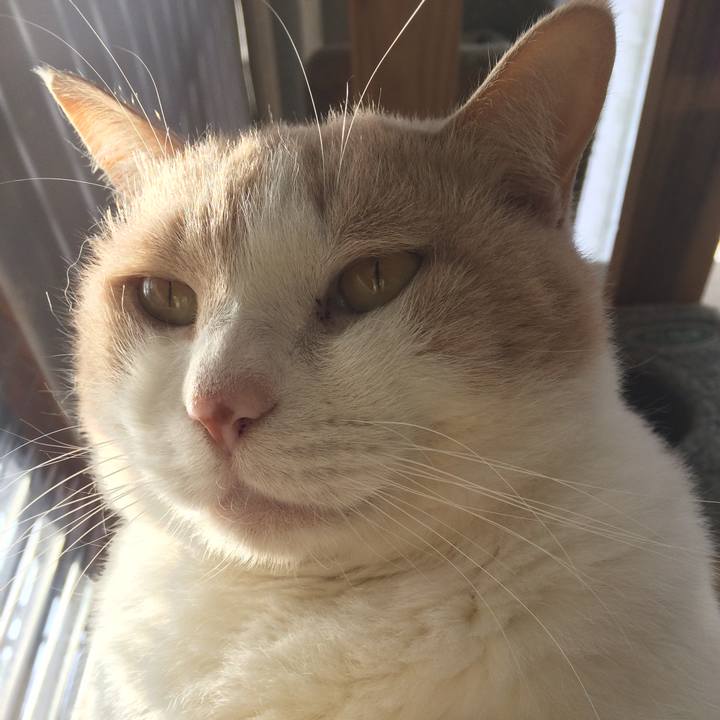 B7e0a8ea 0b18 4ece 8bc5 63d962eb7d0f