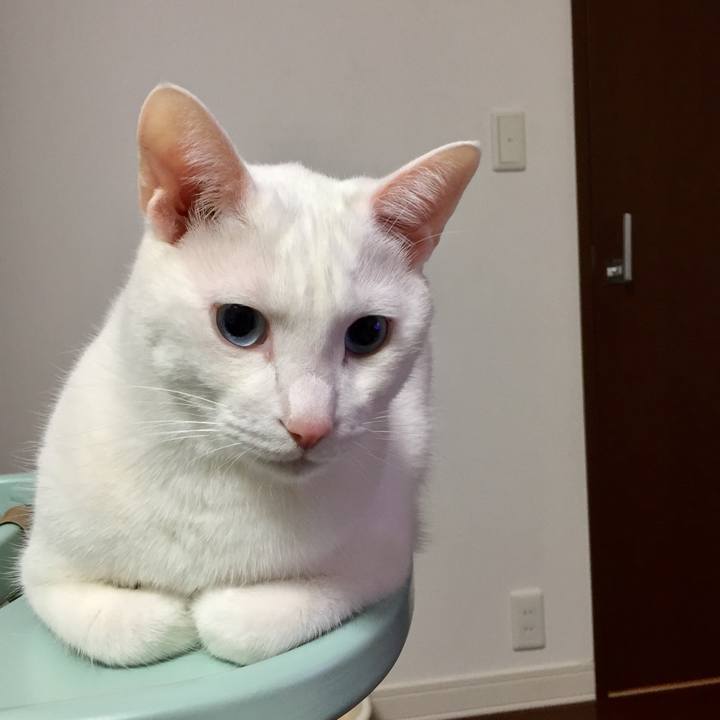 B7e0cb5f 070c 40ed 933a 7ed84bd36e40