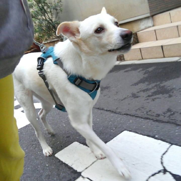 B7e0cdf0 c0ab 4d9d 8d82 d696cf4f92b6