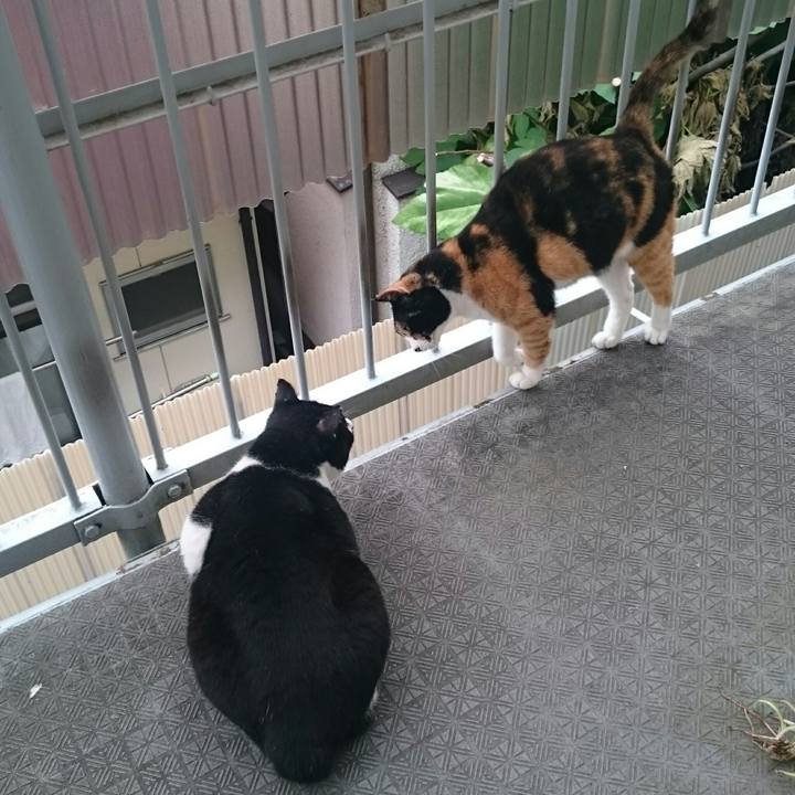 B7e0d802 a8b3 4b84 8e31 880ed82e699f