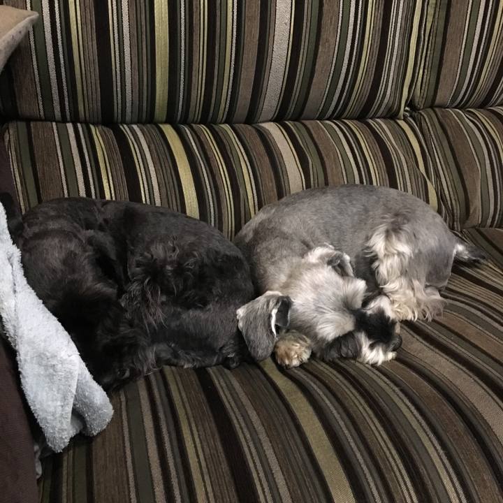 B7e101a2 2efb 48d6 b818 60dc874a7621