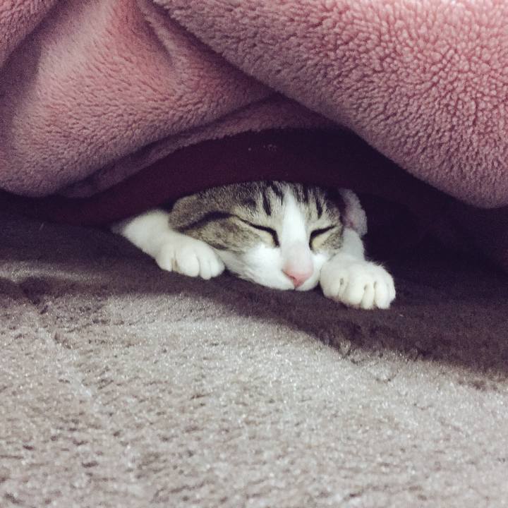 B7e1169e b697 471e 9abb f003480f0666