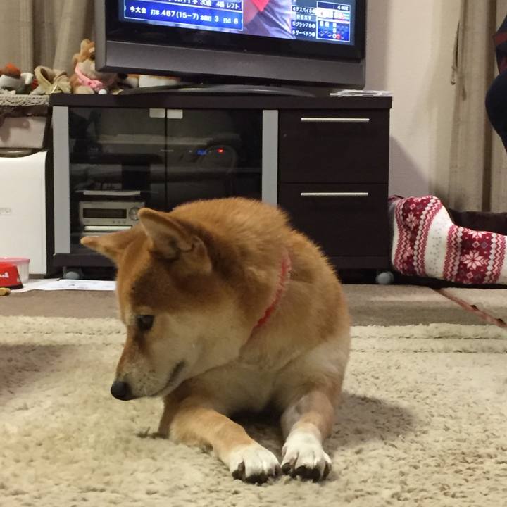 B7e128ad 7019 46b7 acda f522610d3b52