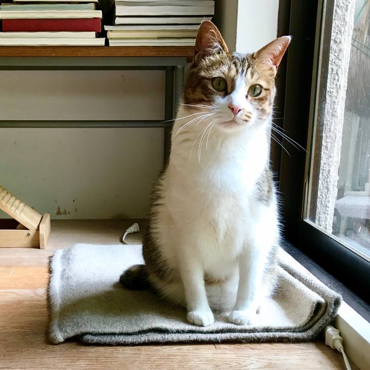 B7e16f90 8bde 44a1 a7e5 d404ac7585f3