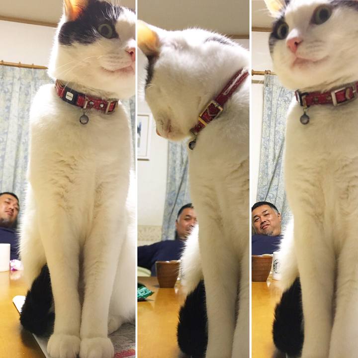 B7e1922e 9414 4726 aca1 74243728f48a