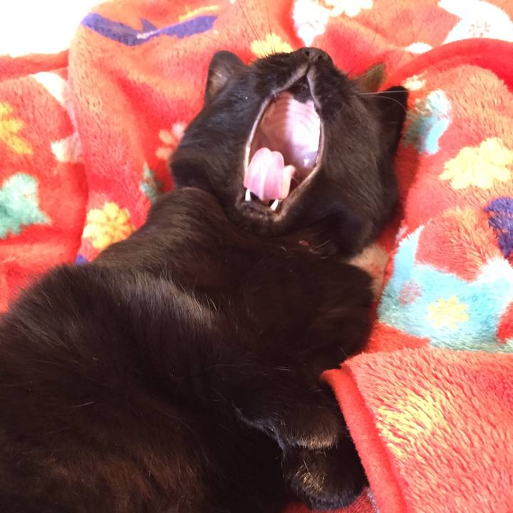 B7e23173 444a 445d 81c6 96f78cb5b736