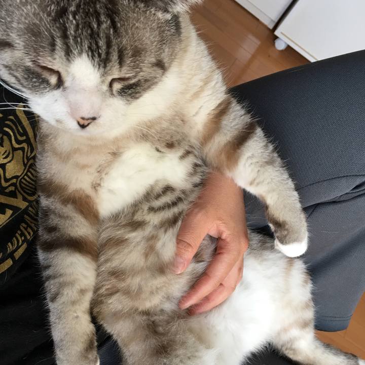 B7e2b3de 1ed5 4727 a9c3 414b9e5af7a4