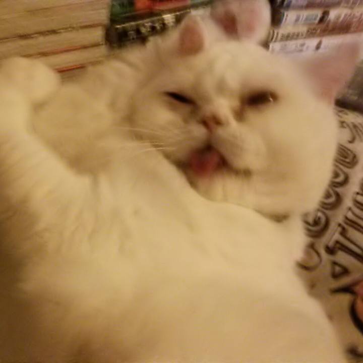 B7e2da02 ce62 4bc0 9bd6 f3c20117f660