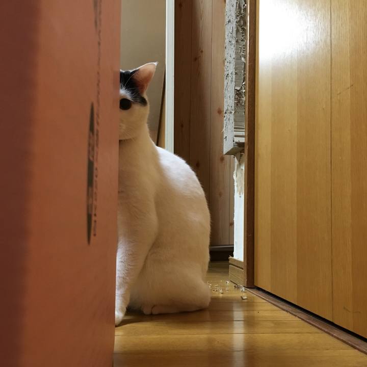 B7e2daf4 aa10 44d1 8a46 d9a252270a05