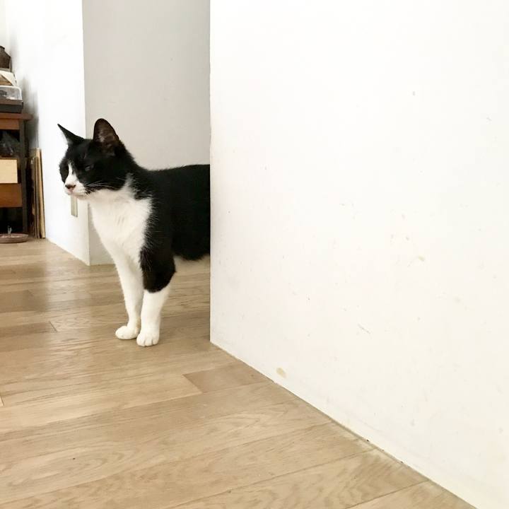 B7e33c62 6b97 45c6 ae17 f9b923d1dad5