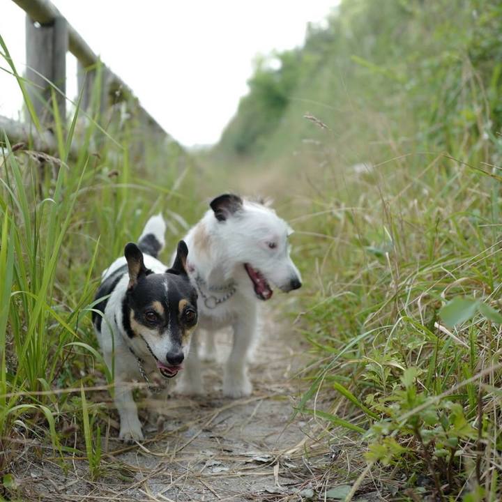 B7e3b77c b5be 43ab a574 b8158c284e53