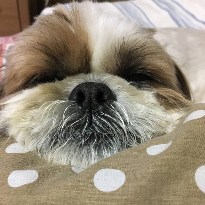 B7e48a6d 244b 4c2d b297 3bd85181d944