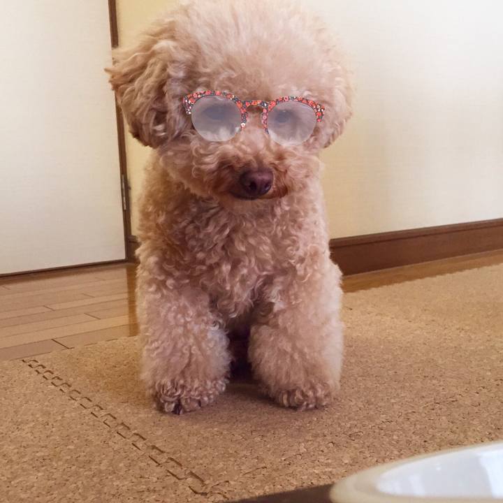 B7e48f15 ebcf 4e68 9324 83742198b7b9