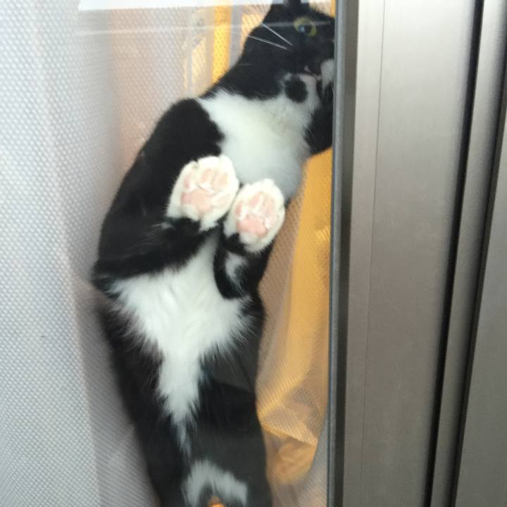 B7e490ed a988 4aa5 bcb0 3536ab59d077