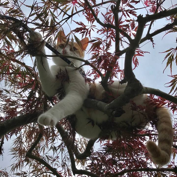 B7e4a273 bea7 4704 8cca c53decf3b169