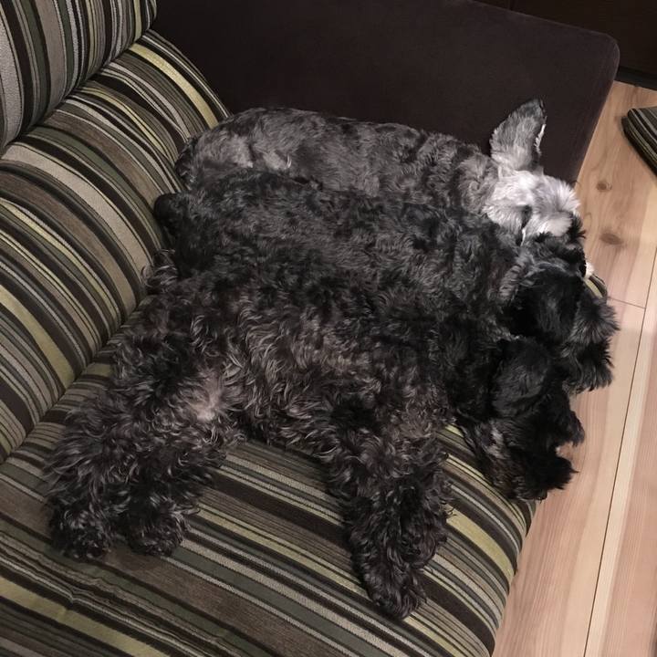 B7e55223 9952 45fe ac52 2d4df01a08d1