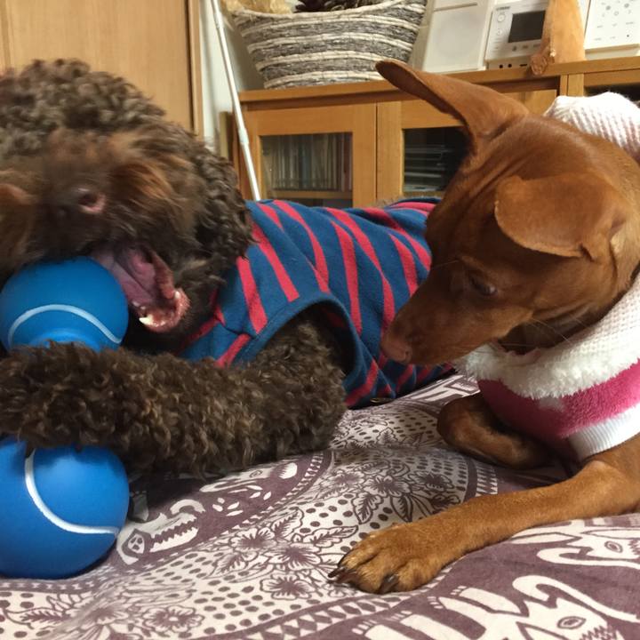 B7e5b076 2f95 4028 b7dc d6915484c1af