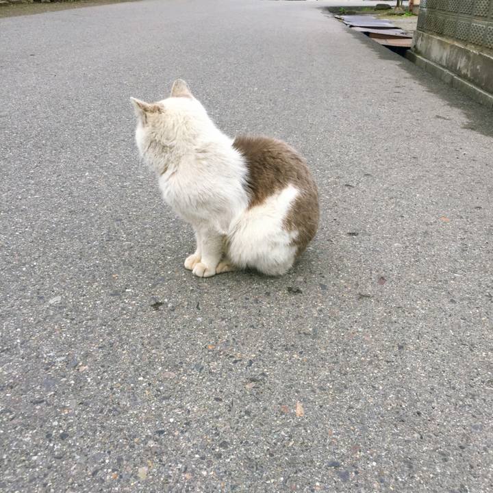 B7e5ca63 12c9 4495 b03a 72f3d724dfb1