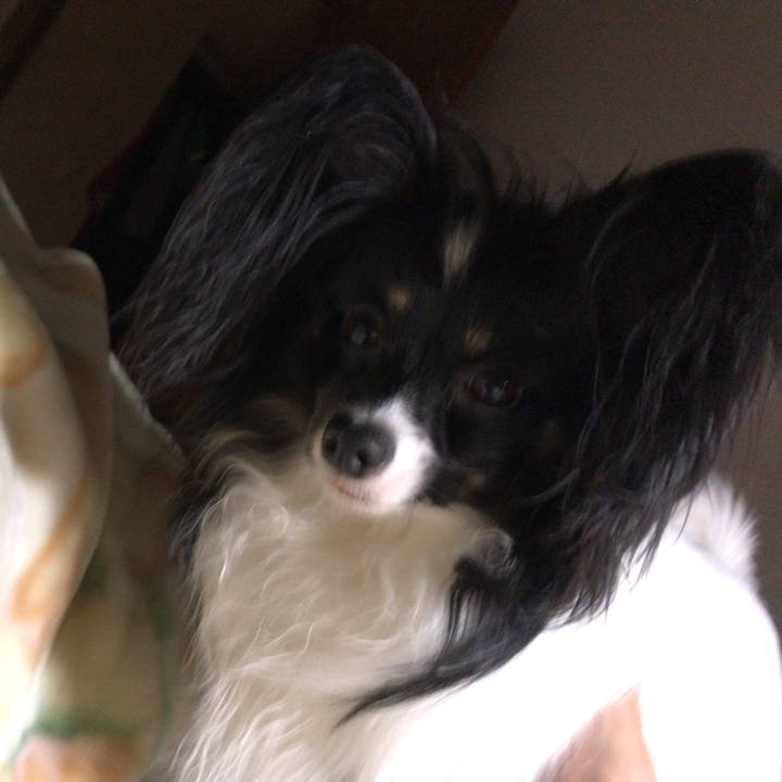 B7e6a4f1 7066 418d bf69 297b83f18b53