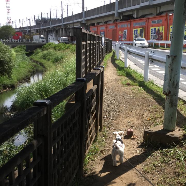 B7e6aebd a025 4224 ae31 a941bbf86e48