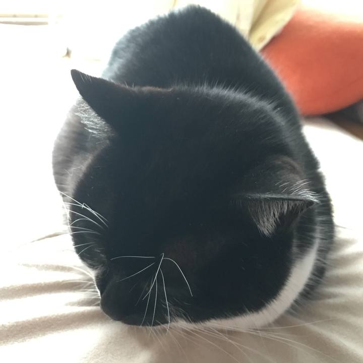 B7e771eb 1581 4df8 a8bd 0e018f50d39a