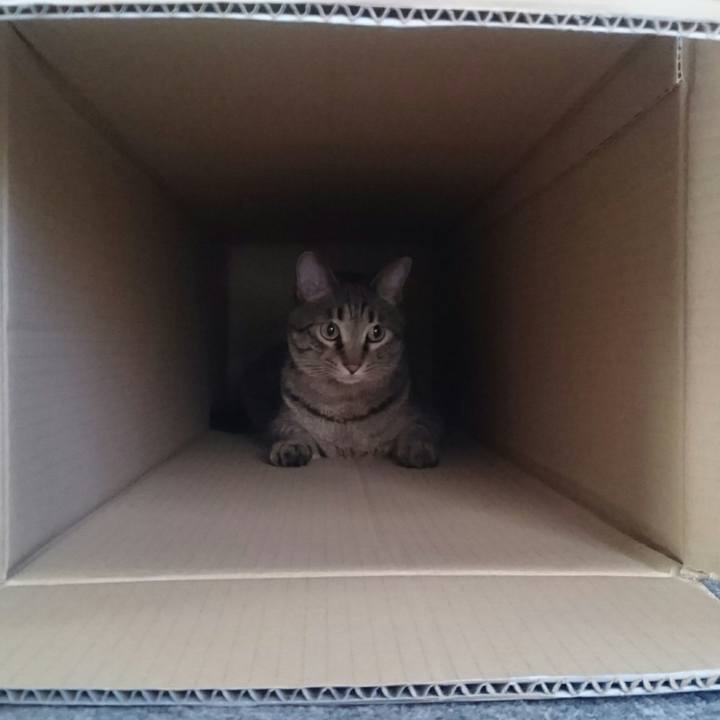 B7e8306c 2e1d 466f a2d3 953210f80763