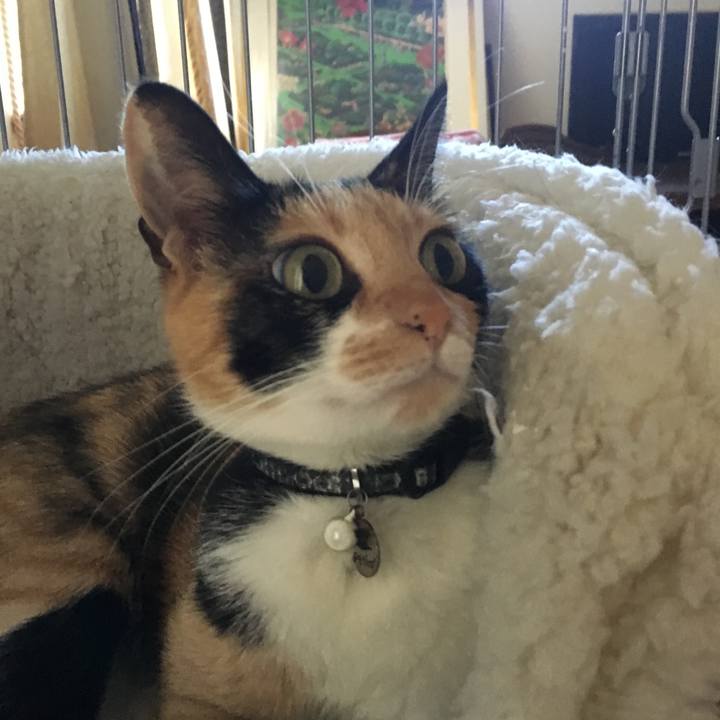 B7e84df1 f20a 4cdc a400 111c9d3e734d