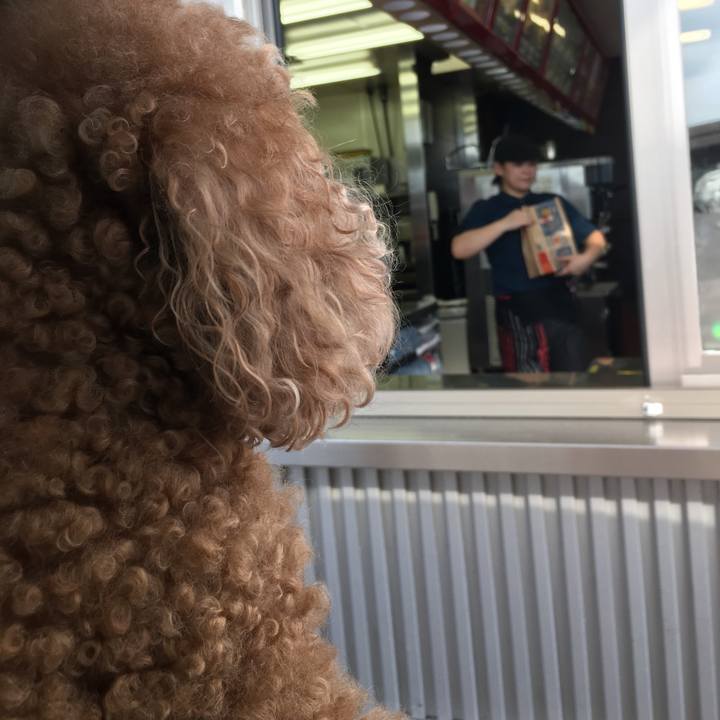 B7e86602 e3f9 4447 b5b2 96155f5e64db