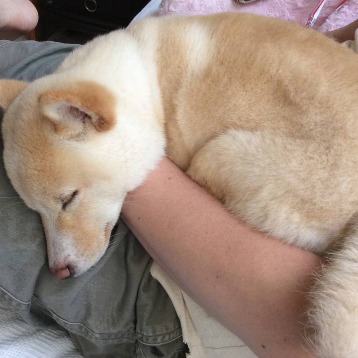 B7e93326 848e 4376 b11c 1aca9bdd6793