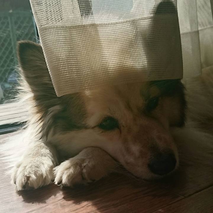 B7e9aff7 6009 4354 be70 c105f60f4d4d