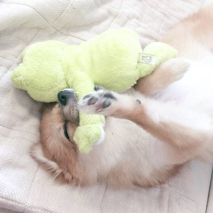 B7e9c51f 7115 448d bff5 b508a59dfd44