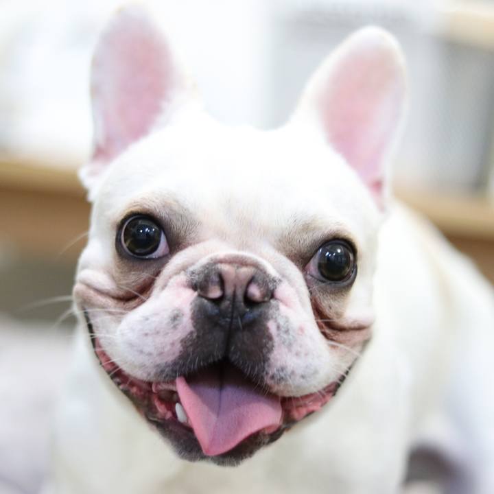 B7e9d3fd d74d 411f 8ab9 567bbf35a718