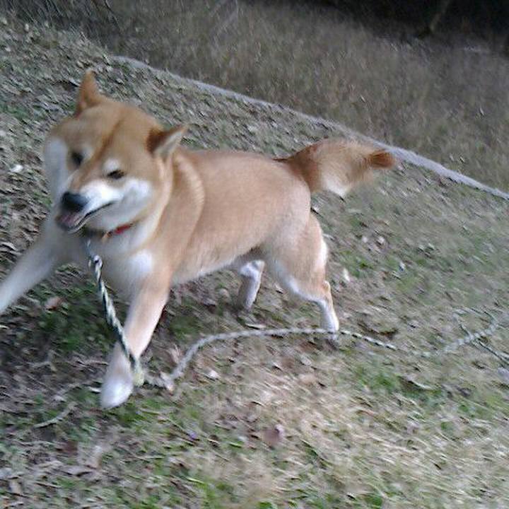 B7eb4f46 23d4 4c30 b262 0a3ecd7b4a2d