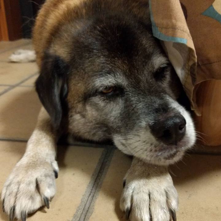 B7ebc0c1 b6c7 48b1 b9e8 71b8ae467af9