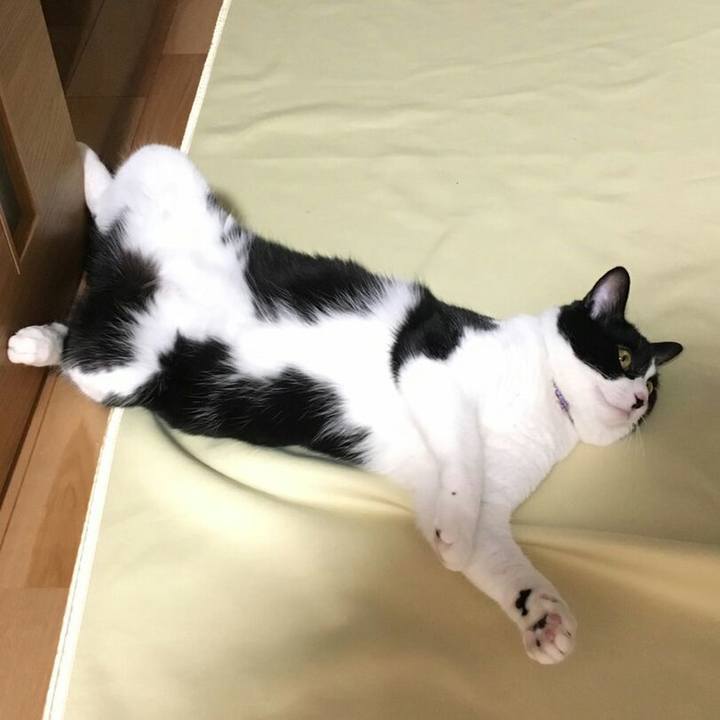 B7ec3607 6827 4e11 aa36 caeea8351c87