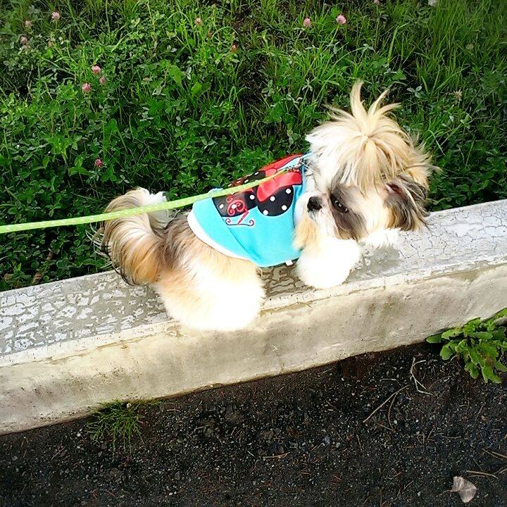 B7ec609b c714 4e0a a82b 0862db47da6e