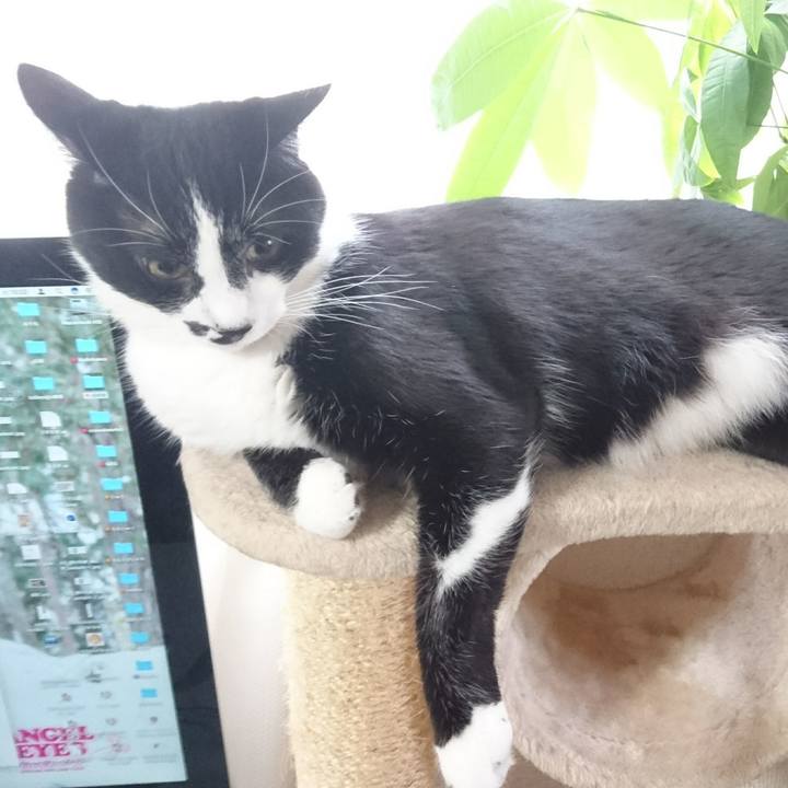 B7ed002c 2ecc 45a1 93e8 b0b8529facd1