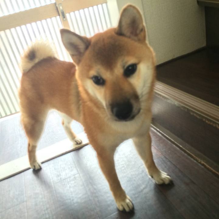 B7eda15a ffe8 4aed 81c5 b812ebfba6cf