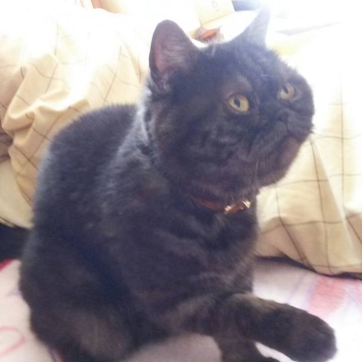 B7edf1db 0224 4d91 b80f bcab4c47f92a